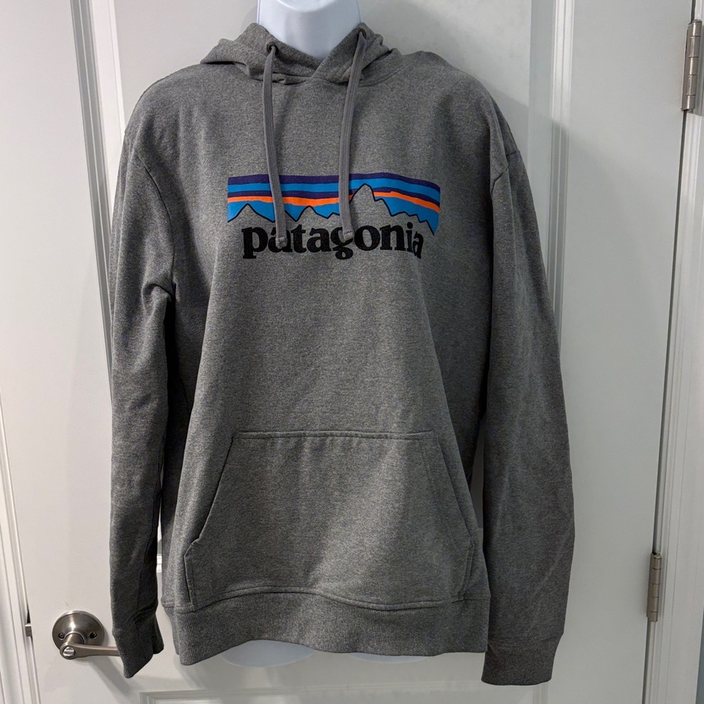 Patagonia Gray Hoodie with Multicolor Logo